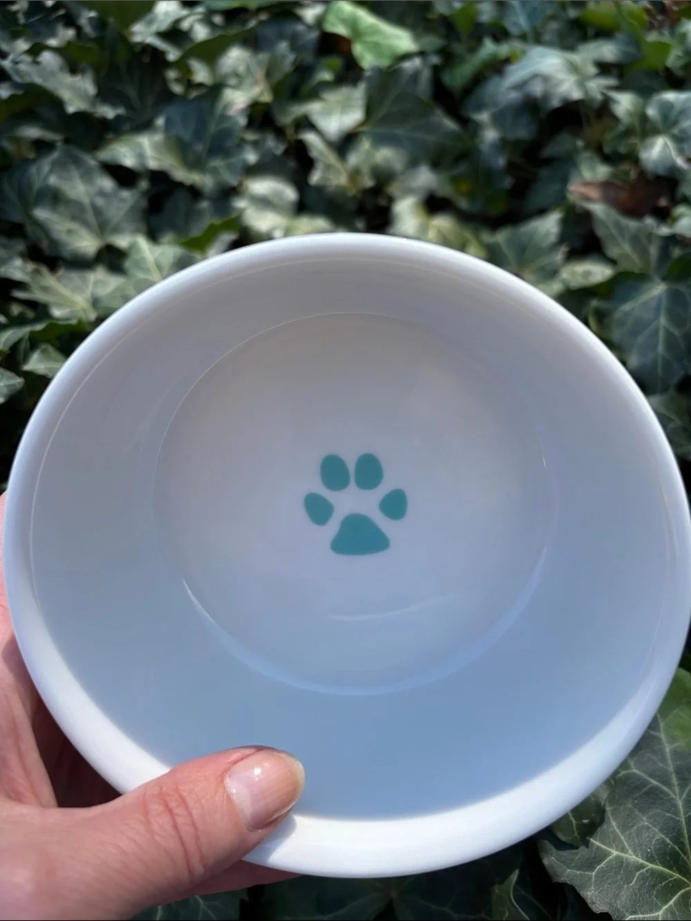 White Ceramic Dog Bowl with Teal Paw Accent